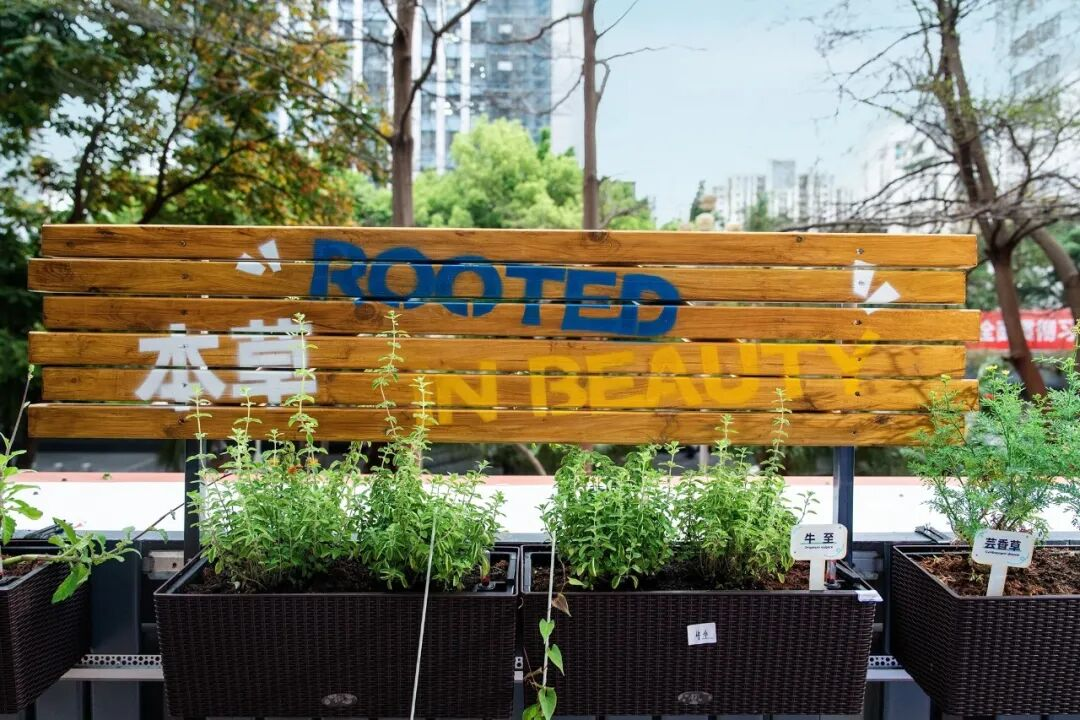 ROOTED 本草种植箱